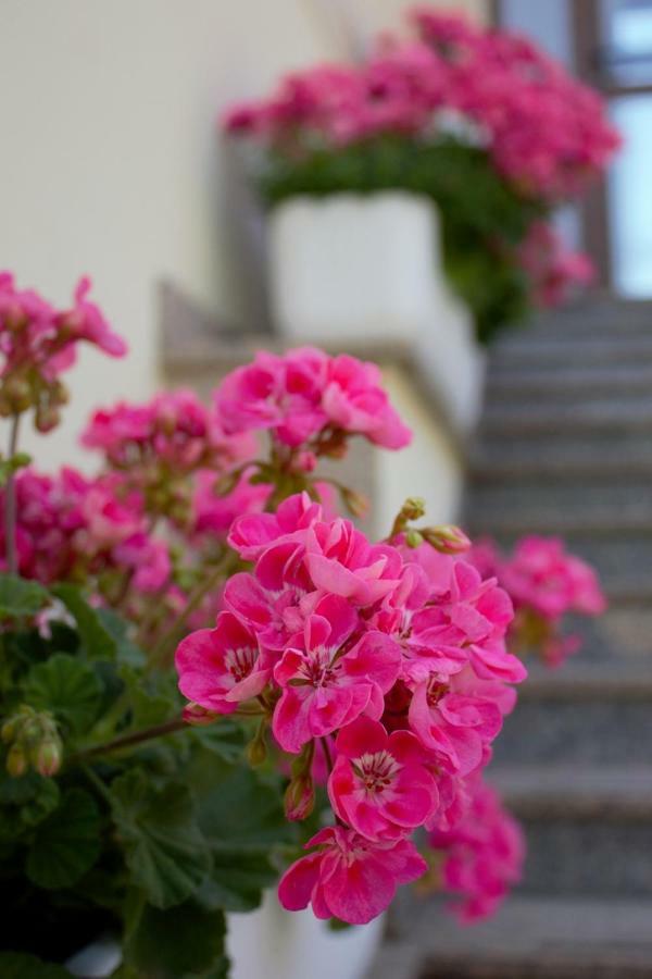 Room Kris With Private Entrance & Private Bathroom Vilanija Esterno foto